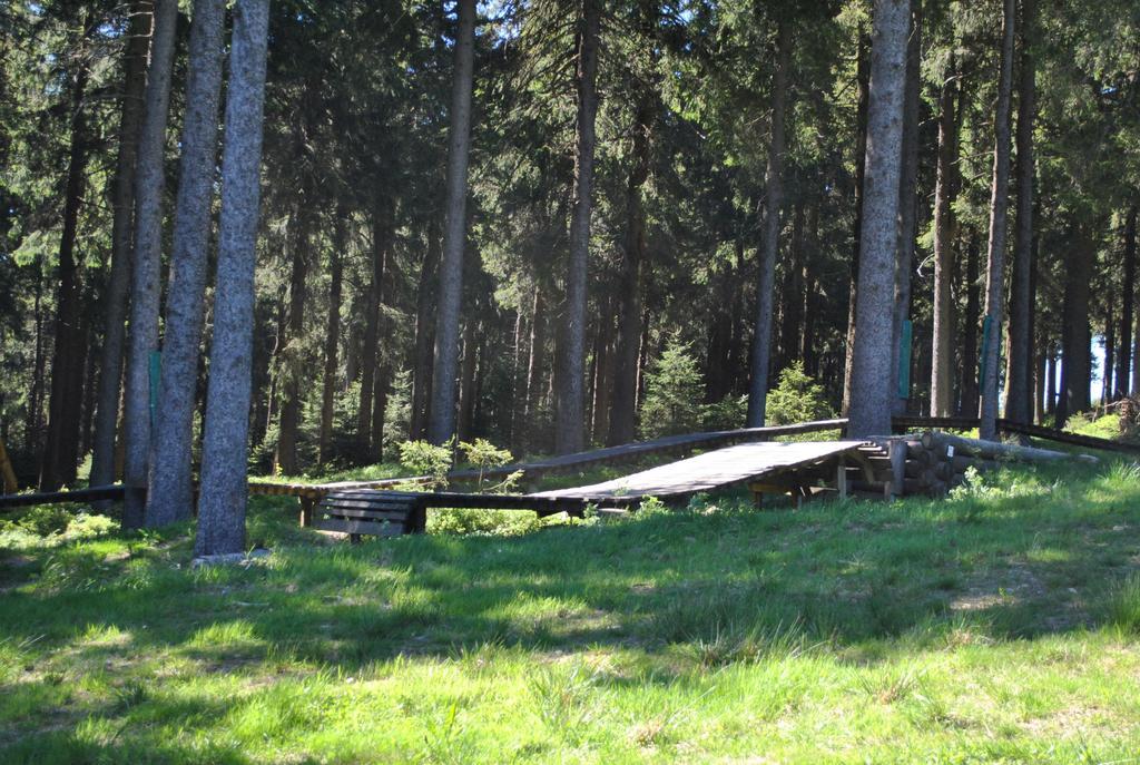 Harz-Zauber Apartment Braunlage Luaran gambar