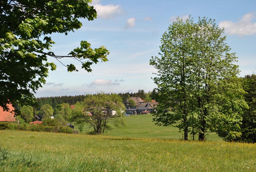 Harz-Zauber Apartment Braunlage Luaran gambar